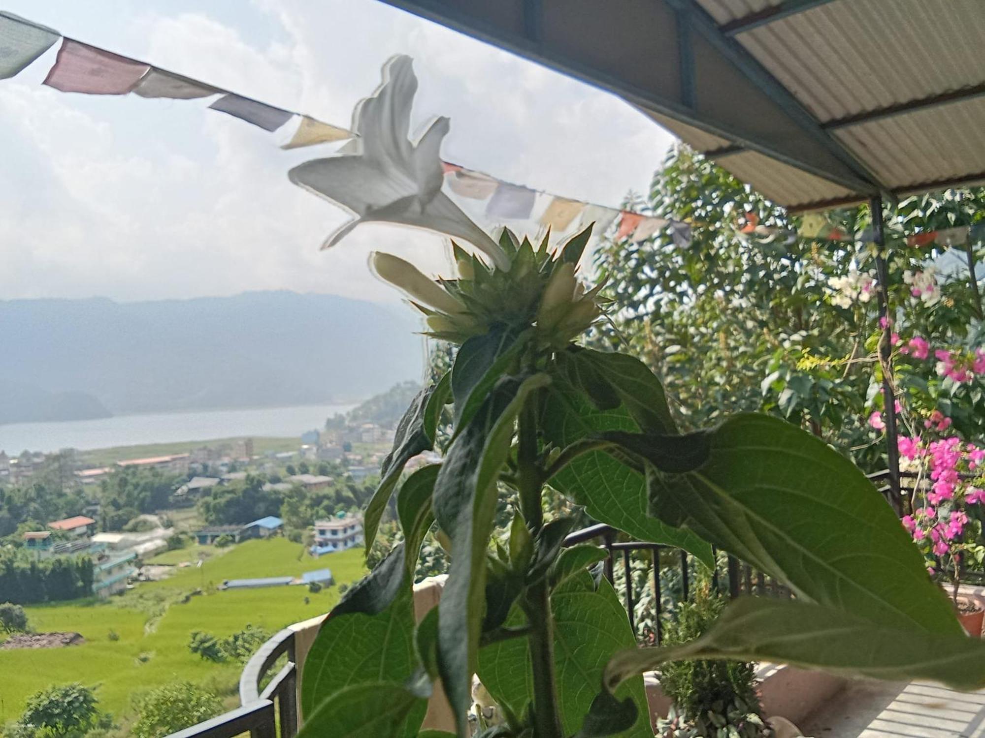 Gautam Garden Guest House Pokhara Esterno foto