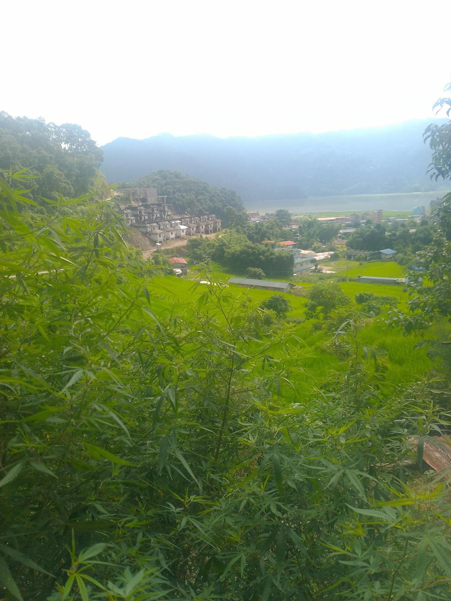 Gautam Garden Guest House Pokhara Esterno foto